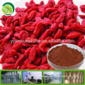 organic goji powder extract